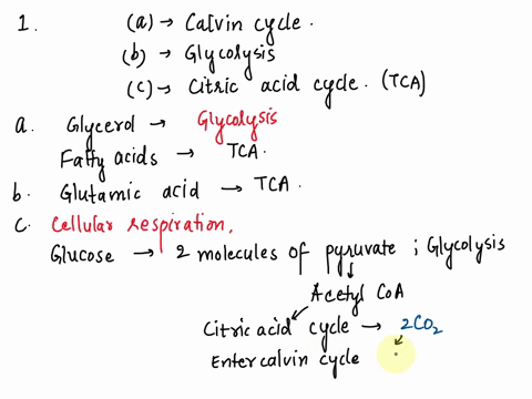 pullu-tf-jrc-rclemd-coinpusing-ilhes-te-pcltosc-nuclcotides-phosphate-fauhiwav-dcrived-doudorol-arenu-duthwav-iue-fmut-smphibo-study-questions-for-anan-tic-knon-dvlge-thc-answcrs-iah-mt-thc-73238