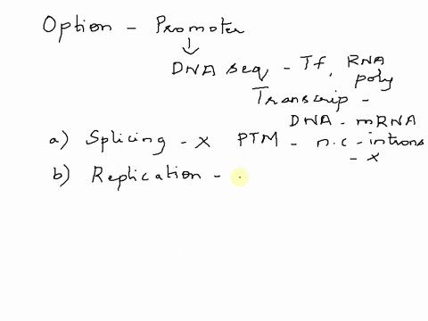 which-of-the-following-processes-requires-promotor-splicing-replication-denaturation-phosphorylation-translation-transcription-53546