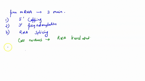 list-the-3-ways-in-which-an-immature-mrna-transcript-is-modified-to-become-a-mature-mrna-transcript-in-eukaryotic-cells-explain-the-modification-and-the-role-or-function-of-each-of-these-mod-93837