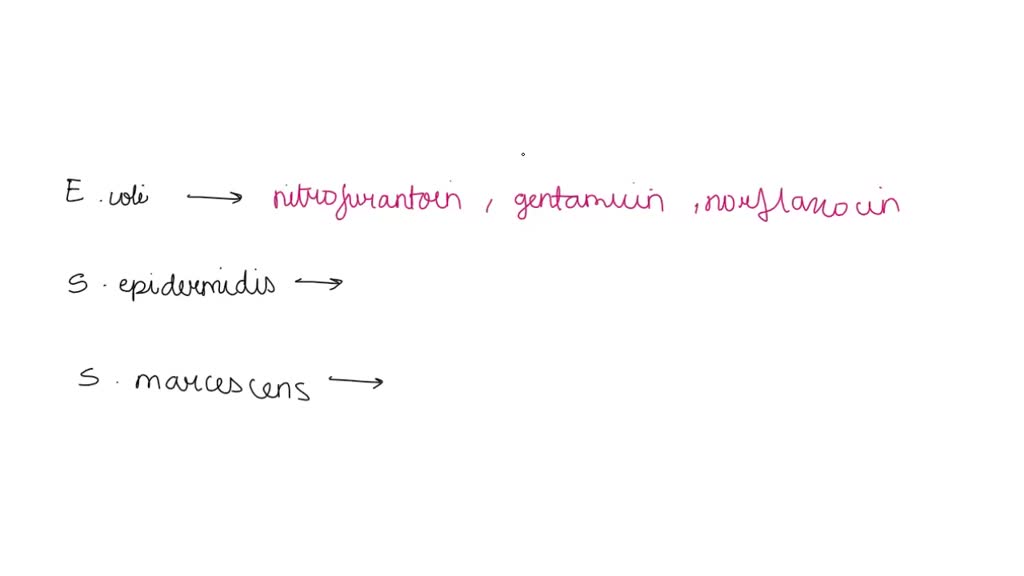 SOLVED Chapter Zli Antimicrobial Medications Where do antibiotics come