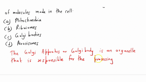 ______________-function-in-the-collection-packaging-and-distribution-of-molecules-made-in-the-cell-a-mitochondria-b-ribosomes-c-golgi-bodies-d-peroxisomes-06964