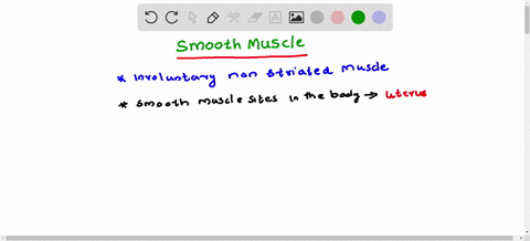 examples-of-smooth-muscle-sites-include-a-the-lining-of-blood-vessels-b-the-iris-of-the-eye-c-the-wa-64188