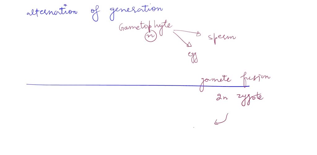 SOLVED Which of the following processes best describes the mechanism