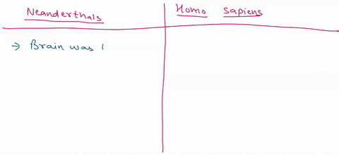 discuss-at-least-two-key-differences-between-the-neandertals-and-fully-modern-homo-sapiens-and-clarify-their-significance-provide-at-least-two-reasons-why-it-isnt-really-fair-to-stereotype-n-06093