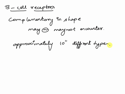 part-a-select-the-false-statements-regarding-b-cell-receptors-they-are-complementary-in-shape-to-a-specific-antigenic-determinant-that-they-may-or-may-not-encounter-each-b-lymphocyte-is-rand-67845