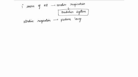 it-is-the-primary-source-of-atp-during-aerobic-activities-a-lactic-acid-systemb-atp-cpc-oxidative-systemd-glycolytic-system-43258