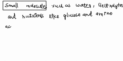 which-molecules-are-absorbed-directly-into-blood-capillaries-from-the-small-intestine-68686