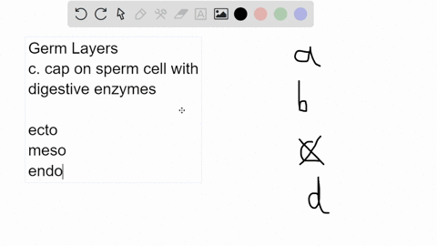 which-primary-germ-layer-gave-rise-to-the-cells-that-eventually-became-the-central-nervous-system-a-88615