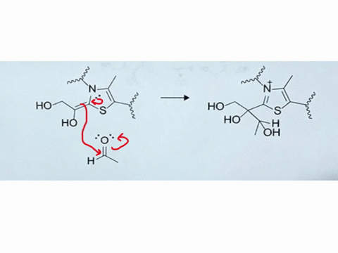 1a-7-pts-below-i-the-carbon-carbon-foming-step-for-a-ranskelolase-reaciion-add-curved-arrows-chou-reasonable-olcctron-ilow-icr-this-reaction-add-any-required-genera-acds-bases-ho-ho-ho-ho-oh-19603