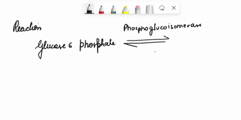 the-reaction-for-the-isomerization-glucose-6-phosphate-to-fructose-6-bisphosphate-is-catalyzed-by-the-enzyme-phosphoglucose-isomerase-and-has-a-standard-free-energy-change-of-g-17-kjmol-if-t-90006