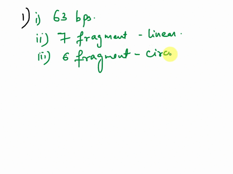 chapter-13-worksheet-student-name-consider-the-following-dna-molecule-5-ccggggccaattggccgtaccgaattggccgaattccggccttggcctacgggctcgggccgc-ggccccggttaaccggcatggcttaaccggcttaaggccggaaccggatgcccg-27256