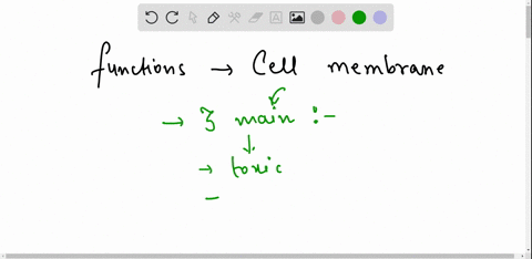 what-is-the-function-of-the-cell-membrane-43846