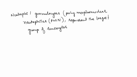 which-of-the-following-is-type-of-blood-cell-whose-primary-function-is-phagocytosis-erythrocyte-red-blood-cell-basophilic-granulocyte-neutrophilic-granulocyte-none-of-these-have-phagocytosis-81393