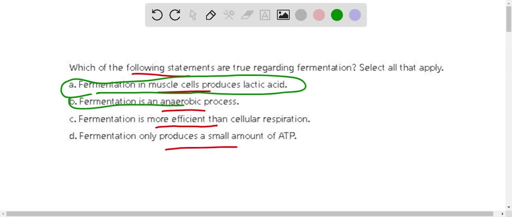 Which Of The Following Statements About Fermentation Is True SOLVED: Which of the following statements are true regarding