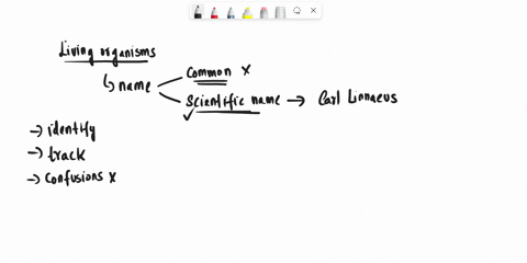 why-it-is-difficult-to-assign-common-names-to-all-living-organisms-04884