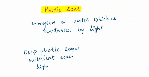 what-is-the-photic-zone-how-and-why-does-it-differ-in-lakes-and-coastal-ecosystems-versus-the-open-ocean-45306
