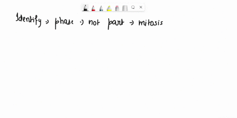 question-9-1-point-the-phases-of-mitosis-include-all-of-the-following-except-01-s-phase-2-prophase-3-aaphase-metaphase-telophase-question-10-1-point-during-the-s-phase-the-cell-is-1-dividing-27333