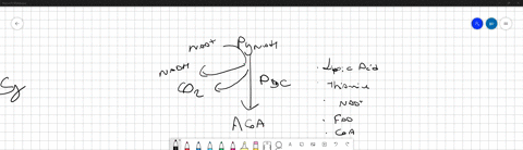 question-41-which-of-the-following-inhibits-the-pyruvate-dehydrogenase-complex-a-atp-b-pyruvate-stimulates-acctyl-coa-nadh-ea-c-and-d-52525