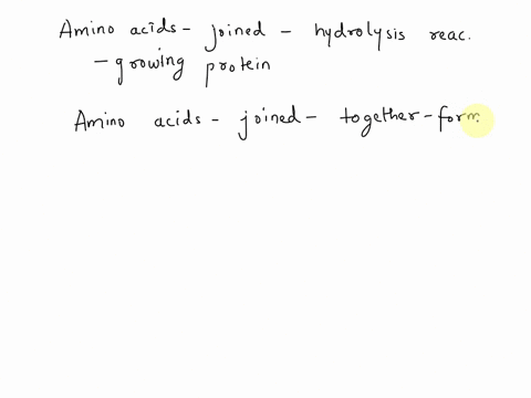true-or-false-when-amino-acids-are-brought-in-by-trna-they-are-joined-together-by-hydrolysis-reactions-to-form-the-growing-protein-69548