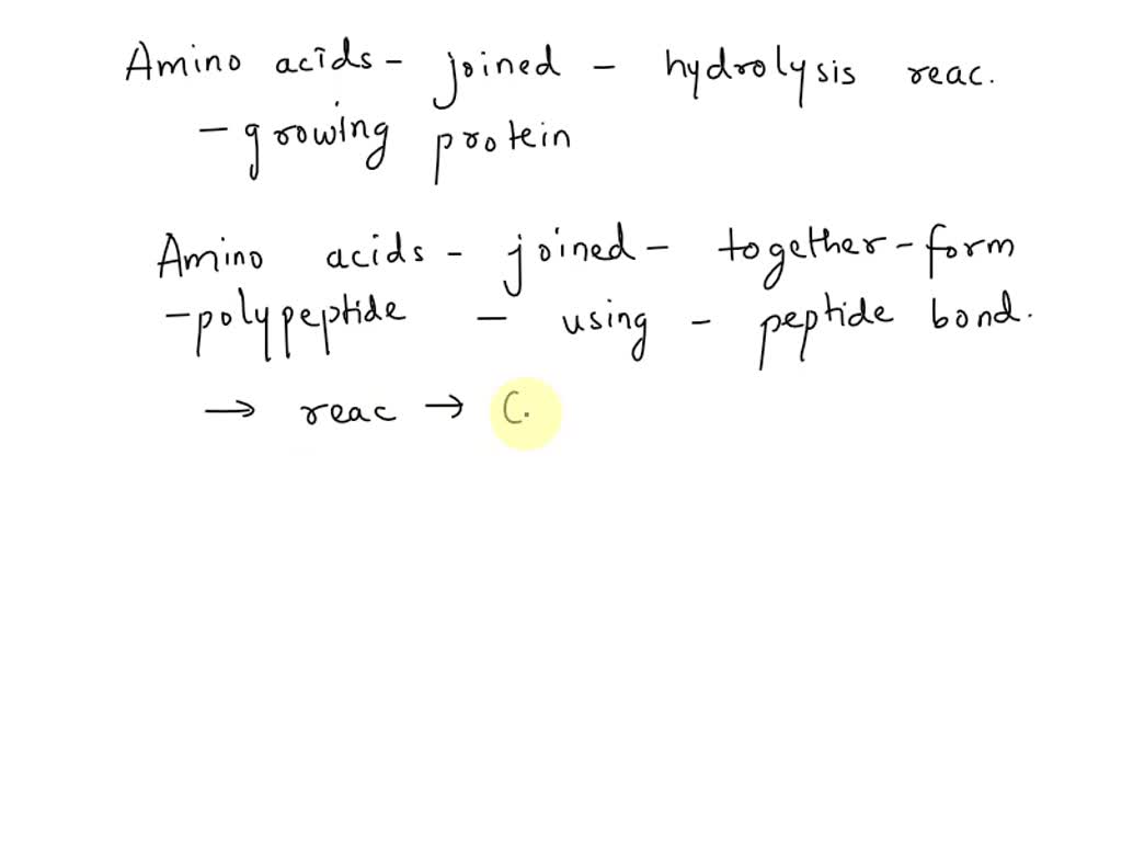 SOLVED True or False? When amino acids are brought in by tRNA, they are joined together by
