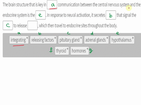 fill-in-the-blanks-to-complete-the-passage-about-how-the-endocrine-system-is-controlled-drag-words-below-to-fill-in-the-blanks-in-the-passage-the-brain-structure-that-is-key-in-communication-26593