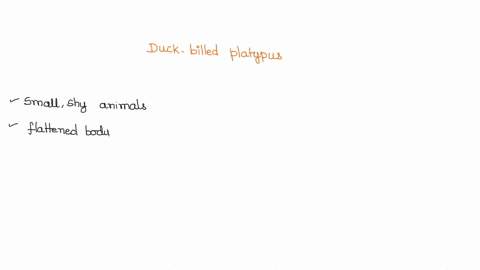 which-is-not-a-characteristic-of-the-duck-billed-platypus-a-webbed-feet-b-egg-laying-ability-c-three-01093