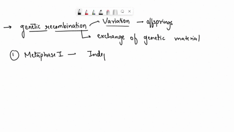 identify-the-types-of-genetic-recombination-occurs-in-metaphase-i-occurs-during-sexual-reproduction-is-random-chromosome-alignment-resulting-in-variation-occurs-in-prophase-i-fuses-gametes-t-42976