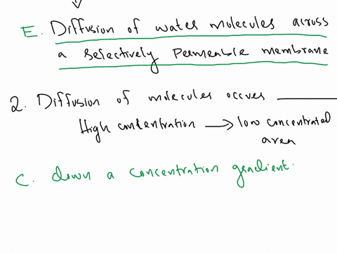 practice-questions-diffusion-and-osmosis-osmosis-is-the-_-diffusion-of-water-molecules-diffusion-of-molecules-diffusion-of-molecules-across-selectively-permeable-membrane-diffusion-of-gases-18433