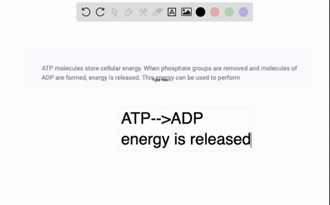 atp-molecules-store-cellular-energy-when-phosphate-groups-are-removed-and-molecules-of-adp-are-formed-energy-is-released-this-energy-can-be-used-to-perform-82618