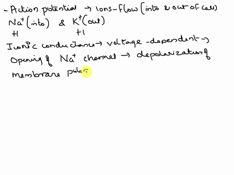 5-9-marks-6-for-i-3-for-ii-what-ions-flow-into-or-out-of-a-typical-neuron-during-an-action-potential-what-charges-do-they-have-why-are-ionic-conductances-voltage-dependent-6-marks-if-a-neuro-22615