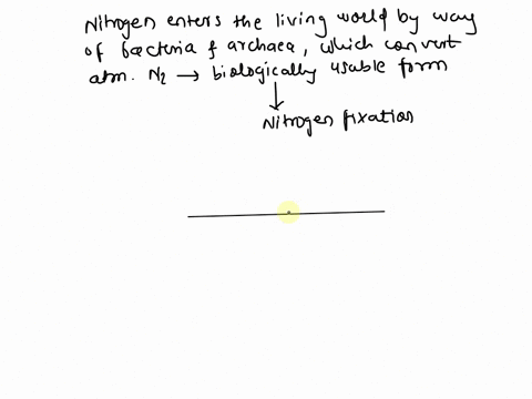 what-organisms-play-the-largest-role-in-moving-nitrogen-between-the-atmosphere-and-plants-53025