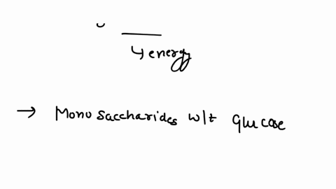 structural-characteristics-of-carbohydrates-assess-your-understanding-of-the-structural-characteristics-of-carbohydrates-by-placing-the-correct-word-in-each-dahydraton-although-account-for-1-58075