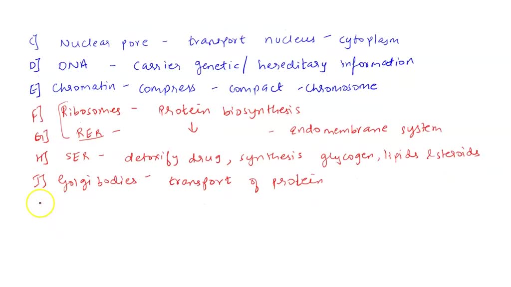 SOLVED: Identify the following structures and indicate their functions ...