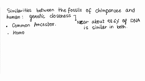 similarities-of-fossils-of-chimpanzees-and-humans-are-an-example-of-molecular-homology-03048
