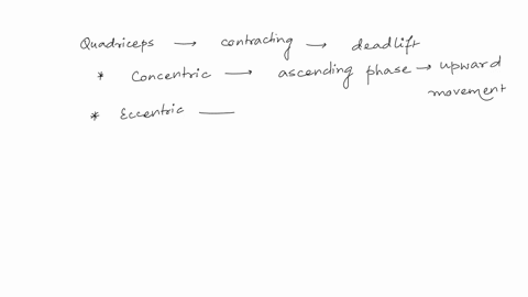 are-the-quadricieps-concentric-or-eccentric-in-the-ascending-phase-of-a-deadlift-what-is-the-quadriceps-function-ill-give-a-thumbs-up-please-let-me-know-as-soon-as-possiblethanks-64618