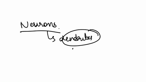 most-neurons-have-multiple-dendrites-true-or-false