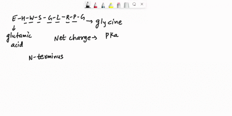 peptide-has-the-following-sequence-e-h-w-s-g-l-r-p-g-write-out-the-full-name-of-each-amino-acid-in-the-peptide-in-order-what-is-the-net-charge-on-this-peptide-at-ph-3-what-is-the-net-charge-92313