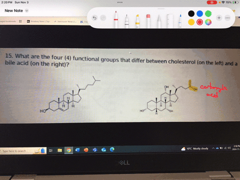 15-what-are-the-four-4-functional-groups-that-differ-between-cholesterol-on-the-left-and-a-bile-acid-on-the-right