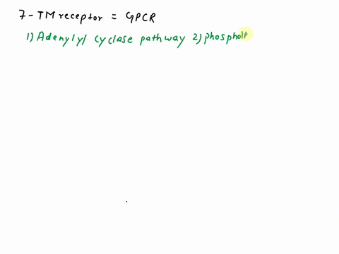there-are-3-classes-of-signal-transduction-receptors-a-7-tm-seven-transmembrane-receptor-outline-the-2-main-mechanisms-that-it-uses-to-produce-second-messenger-molecules-b-2-subclasses-invol-72614