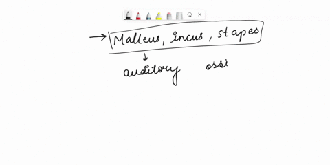 Label the ear structures in the image below. Place your cursor on the ...