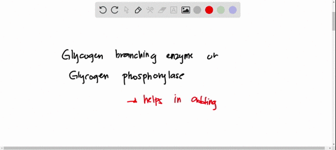 question-42-4-pts-which-of-the-following-best-describes-the-function-of-the-glycogen-branching-enzyme-it-cleaves-an-a1-6-bond-and-transfers-block-of-glucose-residues-to-an-interior-site-via-07565