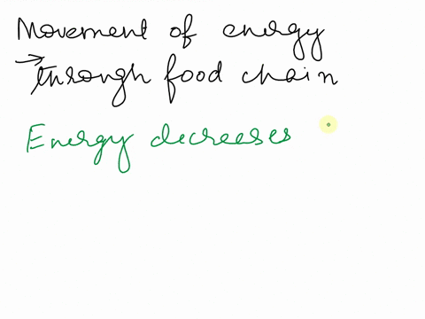 what-happens-to-energy-as-it-moves-through-the-food-chain-21249