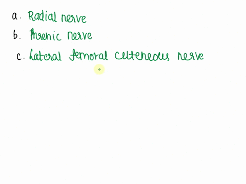 damage-to-which-spinal-nerve-s-my-produce-the-following-physical-findings-5-damage-to-which-spinal-nerves-might-produce-the-following-physical-findings-ainability-to-extend-the-forearm-and-h-22132