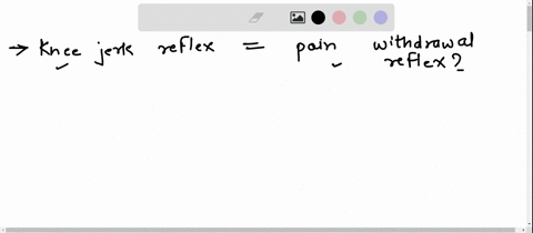pleasee-helppp-instructions-1describe-your-observations-when-you-tested-the-knee-jerk-reflex-use-either-the-phrase-flexion-of-the-kneeor-the-phraseextension-of-the-knee-somewhere-in-your-des-37539