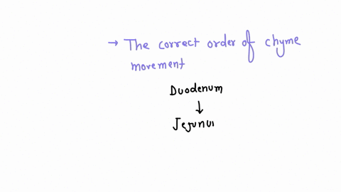 sort-the-correct-order-of-the-intestinal-structures-as-the-contents-chyme-moves-from-the-stomach-1-ileum-2-rectum-3-acsending-colon-4-jejunum-5-sigmoid-colon-6-descending-colon-7-transverse-61213