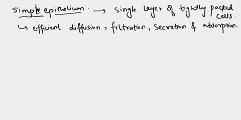which-of-the-following-is-a-correct-statement-about-a-simpleepitheliuma-it-protects-against-mechanical-abrasionb-it-may-contain-the-protein-keratinc-it-is-adapted-for-diffusion-and-filtratio-66389
