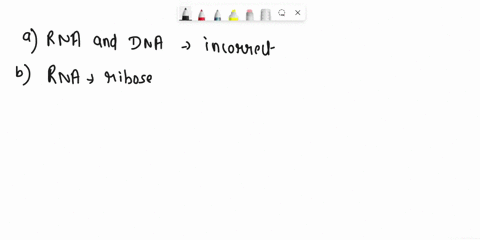 dna and rna are both 2 points a made up of nucleotides and carry ...