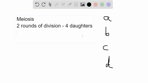 meiosis-and-cytoplasmic-division-function-in-__________-a-asexual-reproduction-of-single-celled-euka-01644