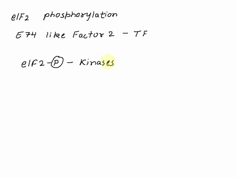 under-stress-conditions-eif2-is-phosphorylated-this-results-in-reduced-translation-and-growth-which-statement-is-a-possible-explanation-for-how-this-phosphorylation-affects-it-eif2-phosphory-32388