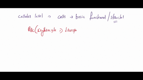 c-short-questions-10-marks-using-examples-from-the-cardiovascular-system-describe-the-levels-of-organization-from-the-chemicals-to-organs_-4-marks-briefly-explain-how-fever-is-induced-in-the-45345